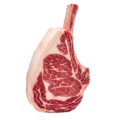 Imagen PNG para descargar